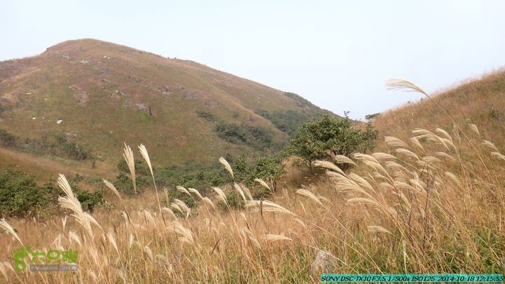 20141018-沙江(沙岗)-东山-殿塘寺-桂林驴先锋户外DSC03056