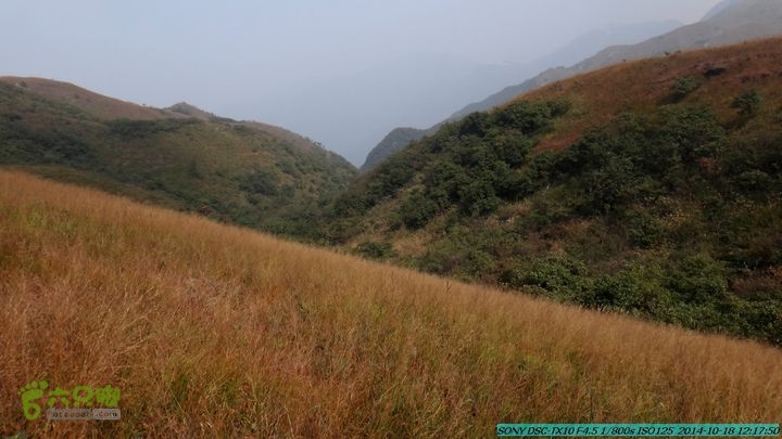 20141018-沙江(沙岗)-东山-殿塘寺-桂林驴先锋户外DSC03058