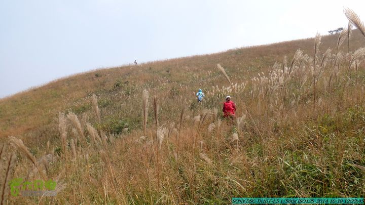 20141018-沙江(沙岗)-东山-殿塘寺-桂林驴先锋户外DSC03063