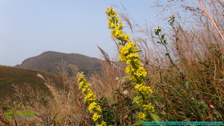20141018-沙江(沙岗)-东山-殿塘寺-桂林驴先锋户外DSC03064