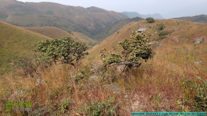 20141018-沙江(沙岗)-东山-殿塘寺-桂林驴先锋户外DSC03070
