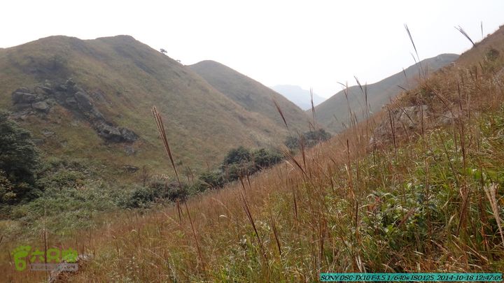 20141018-沙江(沙岗)-东山-殿塘寺-桂林驴先锋户外DSC03074