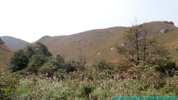 20141018-沙江(沙岗)-东山-殿塘寺-桂林驴先锋户外DSC03079