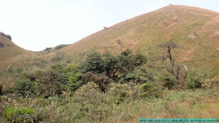 20141018-沙江(沙岗)-东山-殿塘寺-桂林驴先锋户外DSC03080
