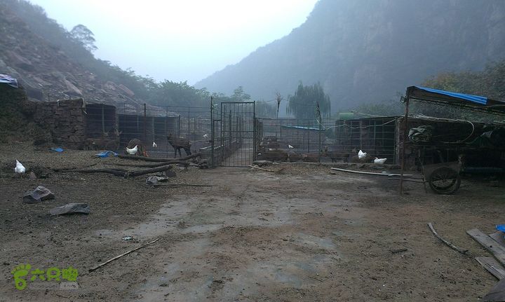 抱犊村走近路下到八里沟景区游玩IMAG0975_眸目压缩