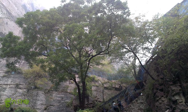 抱犊村走近路下到八里沟景区游玩IMAG1051_眸目压缩