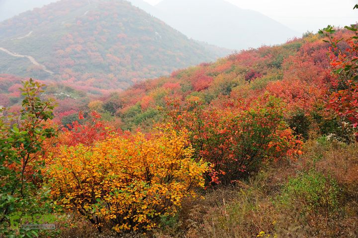 舞彩潜山DSC_8263_1