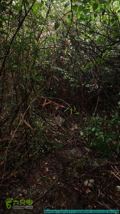 20141101-侯山-侯山隘-古道-临桂-桂林驴先锋户外DSC03348