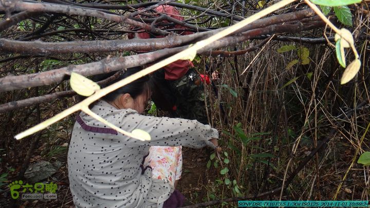 20141101-侯山-侯山隘-古道-临桂-桂林驴先锋户外DSC03349