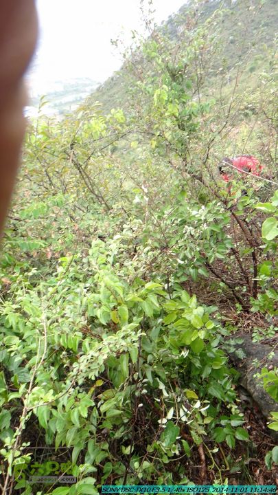 20141101-侯山-侯山隘-古道-临桂-桂林驴先锋户外DSC03350