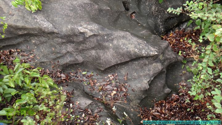 20141101-侯山-侯山隘-古道-临桂-桂林驴先锋户外DSC03352