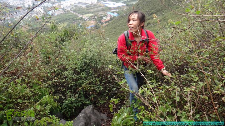 20141101-侯山-侯山隘-古道-临桂-桂林驴先锋户外DSC03355