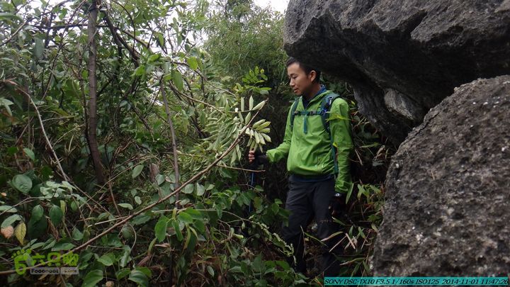 20141101-侯山-侯山隘-古道-临桂-桂林驴先锋户外DSC03357