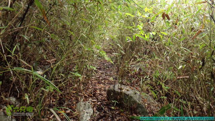 20141101-侯山-侯山隘-古道-临桂-桂林驴先锋户外DSC03359