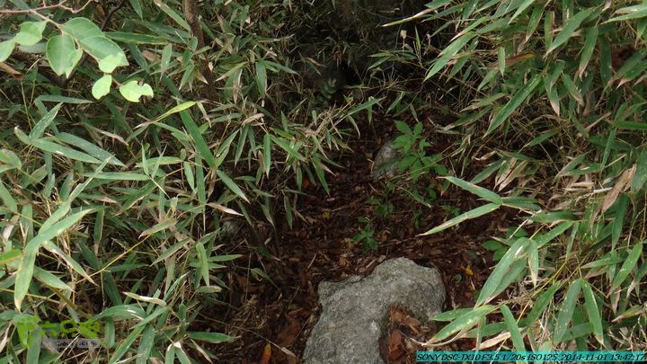 20141101-侯山-侯山隘-古道-临桂-桂林驴先锋户外DSC03401