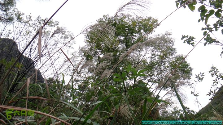 20141101-侯山-侯山隘-古道-临桂-桂林驴先锋户外DSC03408