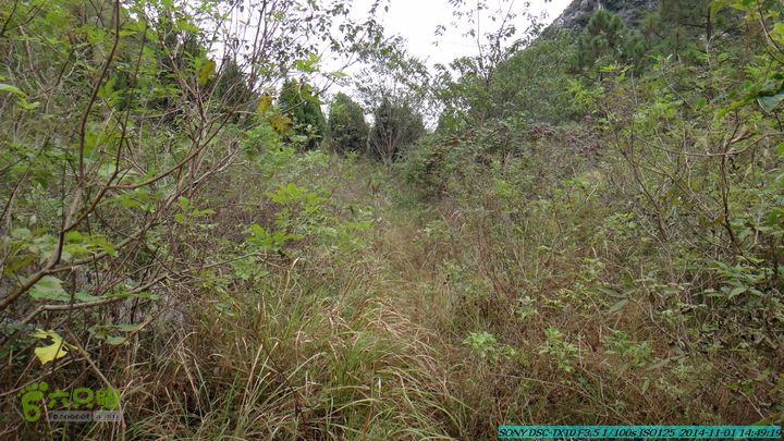 20141101-侯山-侯山隘-古道-临桂-桂林驴先锋户外DSC03411