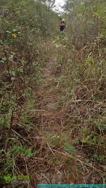 20141101-侯山-侯山隘-古道-临桂-桂林驴先锋户外DSC03414