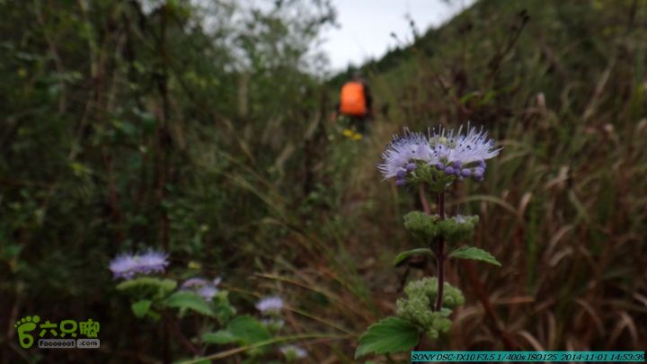20141101-侯山-侯山隘-古道-临桂-桂林驴先锋户外DSC03415
