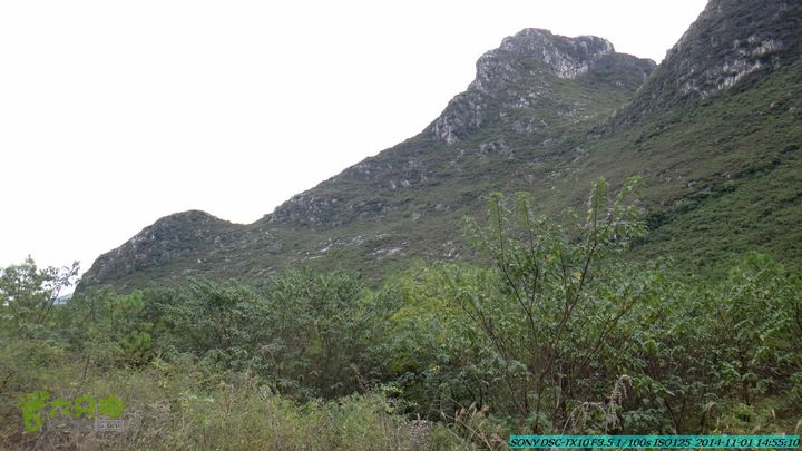 20141101-侯山-侯山隘-古道-临桂-桂林驴先锋户外DSC03418