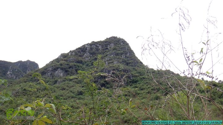 20141101-侯山-侯山隘-古道-临桂-桂林驴先锋户外DSC03421