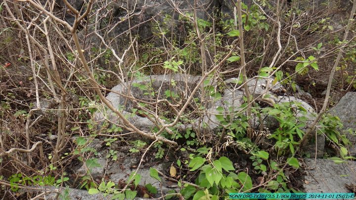 20141101-侯山-侯山隘-古道-临桂-桂林驴先锋户外DSC03430