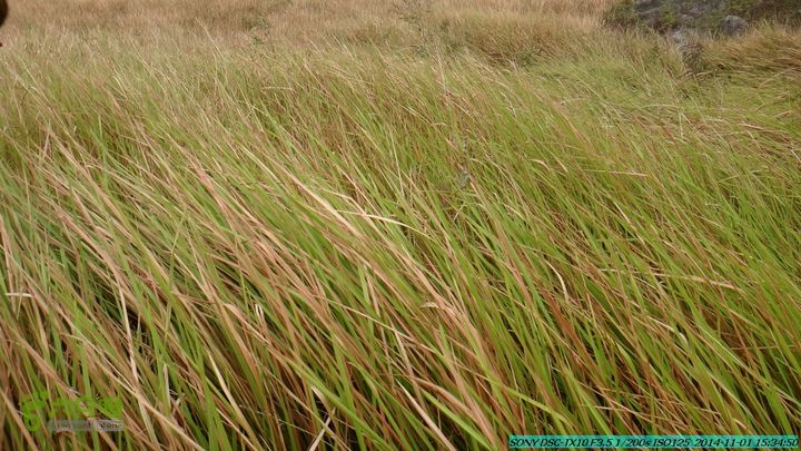 20141101-侯山-侯山隘-古道-临桂-桂林驴先锋户外DSC03467