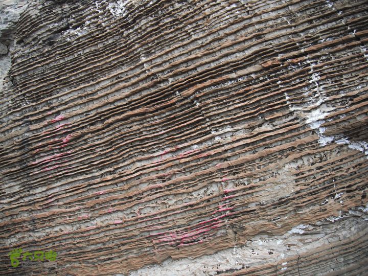 丁家滩-担礼村-丰光寺-京白梨基地-中粮书院-城子DSCF0187