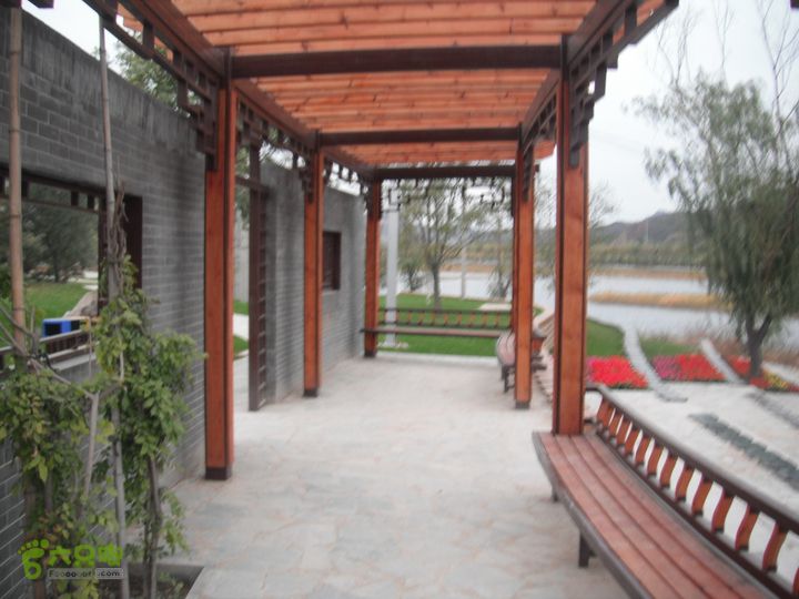 丁家滩-担礼村-丰光寺-京白梨基地-中粮书院-城子DSCF0324