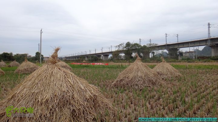 20141101-侯山-侯山隘-古道-临桂-桂林驴先锋户外DSC03517