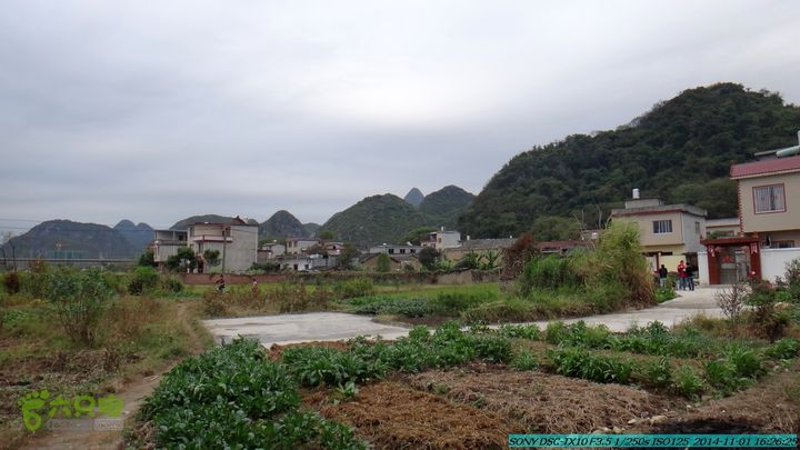 20141101-侯山-侯山隘-古道-临桂-桂林驴先锋户外DSC03543
