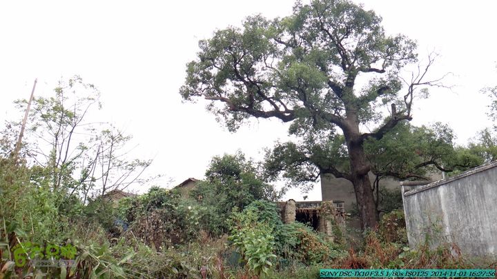20141101-侯山-侯山隘-古道-临桂-桂林驴先锋户外DSC03546