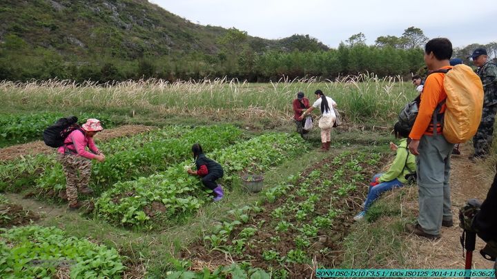 20141101-侯山-侯山隘-古道-临桂-桂林驴先锋户外DSC03558