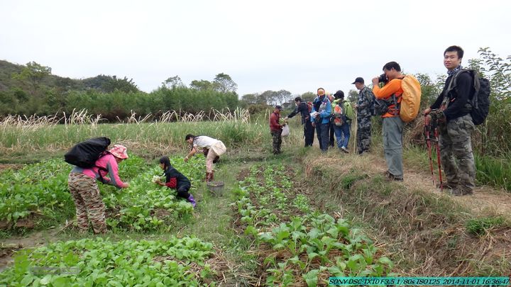 20141101-侯山-侯山隘-古道-临桂-桂林驴先锋户外DSC03559