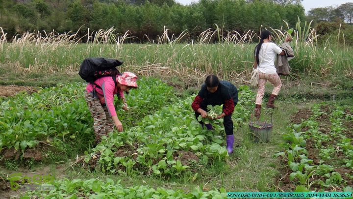 20141101-侯山-侯山隘-古道-临桂-桂林驴先锋户外DSC03560