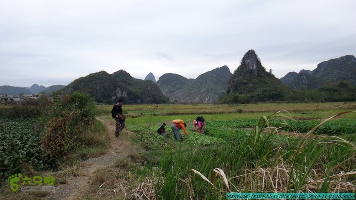 20141101-侯山-侯山隘-古道-临桂-桂林驴先锋户外DSC03566
