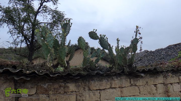 20141101-侯山-侯山隘-古道-临桂-桂林驴先锋户外DSC03572