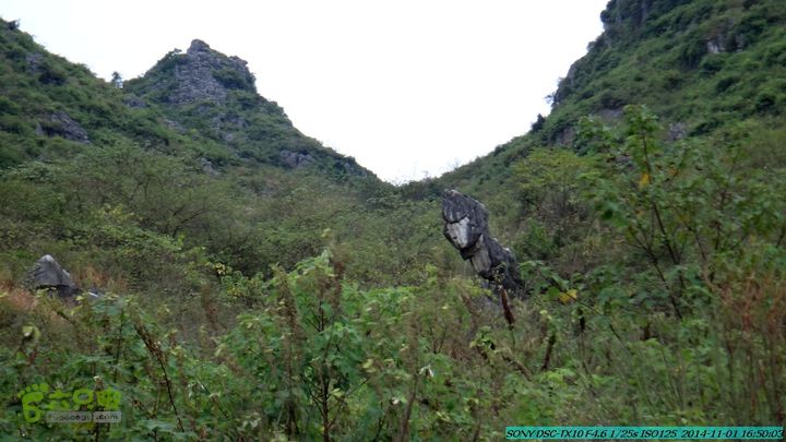 20141101-侯山-侯山隘-古道-临桂-桂林驴先锋户外DSC03576