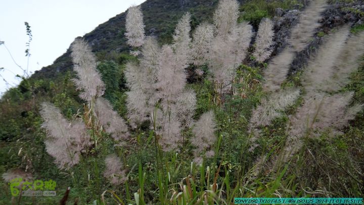 20141101-侯山-侯山隘-古道-临桂-桂林驴先锋户外DSC03579