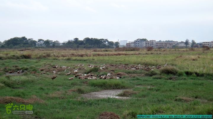 20141101-侯山-侯山隘-古道-临桂-桂林驴先锋户外DSC03580