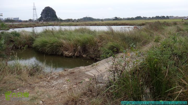 20141101-侯山-侯山隘-古道-临桂-桂林驴先锋户外DSC03582