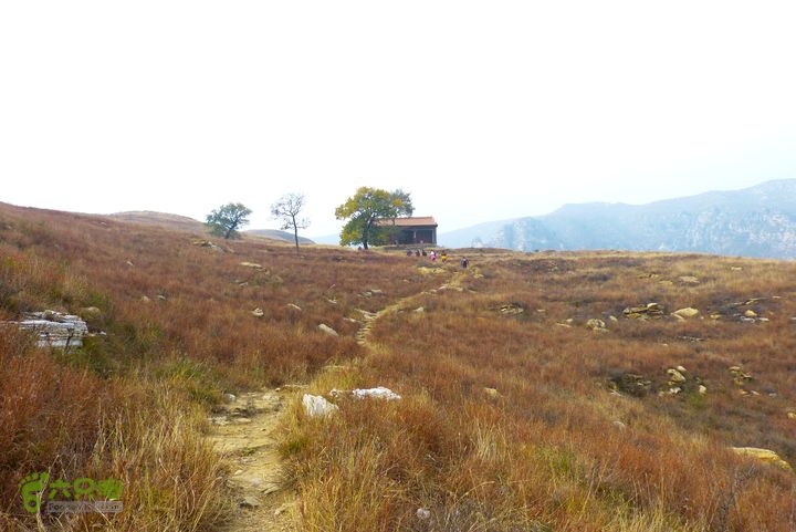 板城金山寺莲花峰满金玉P1130630