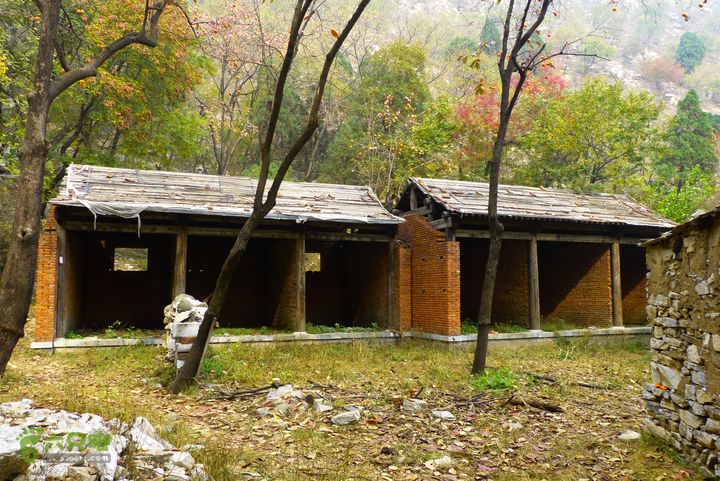 板城金山寺莲花峰满金玉P1130651