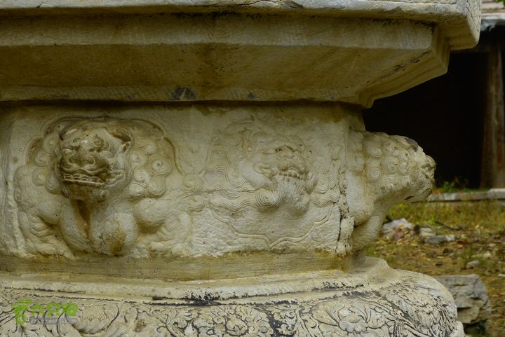 板城金山寺莲花峰满金玉P1130654