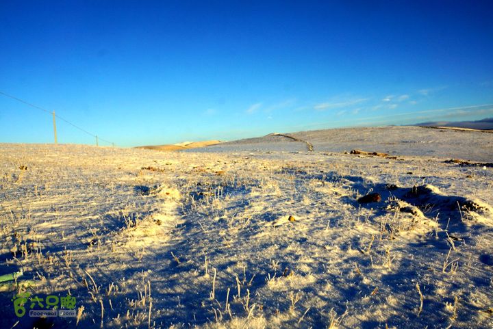 川藏D7-香格里拉稻城桑堆理塘雅江新都桥DSC08662_副本