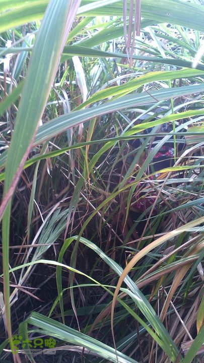 闽侯五虎山圈越2014_1101_124443