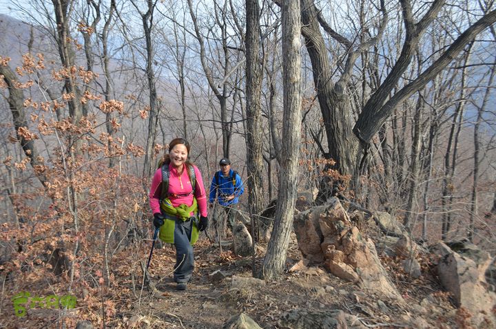 韭菜顶子DSC_3774