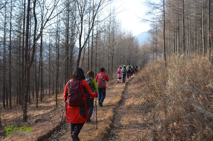韭菜顶子兵山户外 (2)