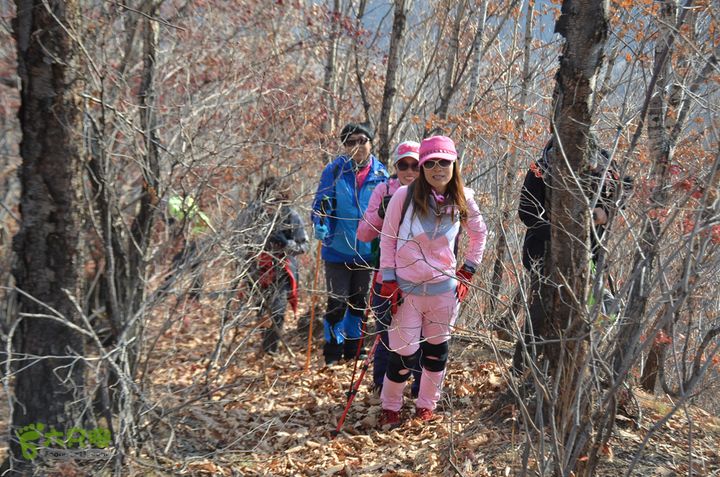 韭菜顶子兵山户外 (8)