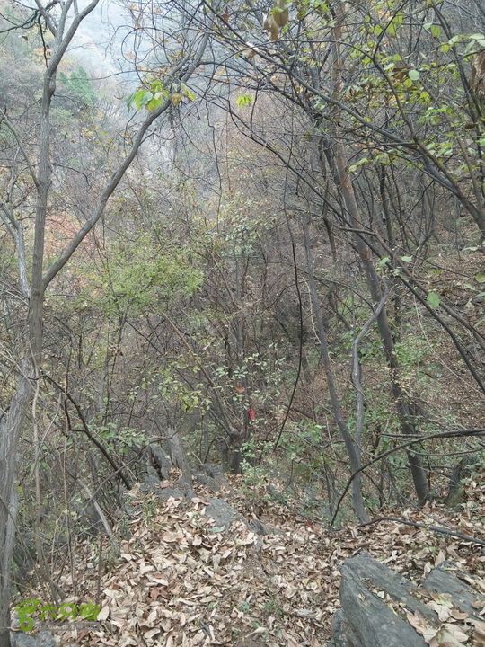 云台山大瀑布源头-上云台-外荒-小寨沟源头2014-11-08 14:32:39